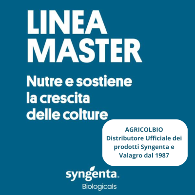 Concime idrosolubile Master 20-20-20 + Micro B-Cu-Fe-Mn-Zn (EDTA) Valagro / Syngenta